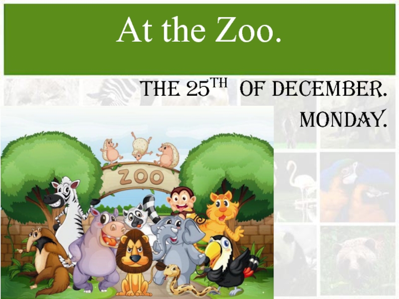 Презентация по английскому языку на тему В зоопарке (5 класс)