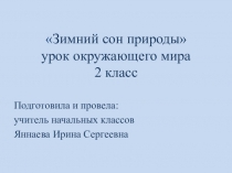 Презентация по окружающему миру Зимний сон природы