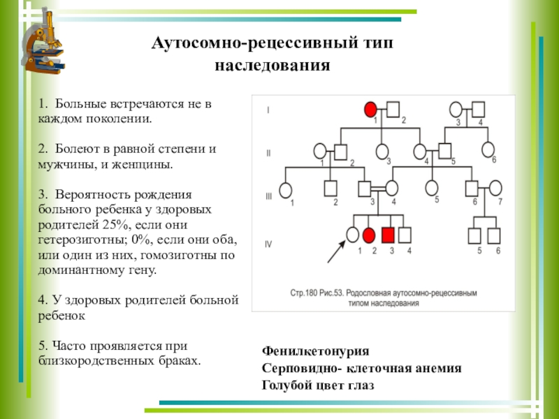 Типы наследования схемы