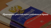 Презентация по Праву на тему:Принципы российского уголовного права (11 класс)