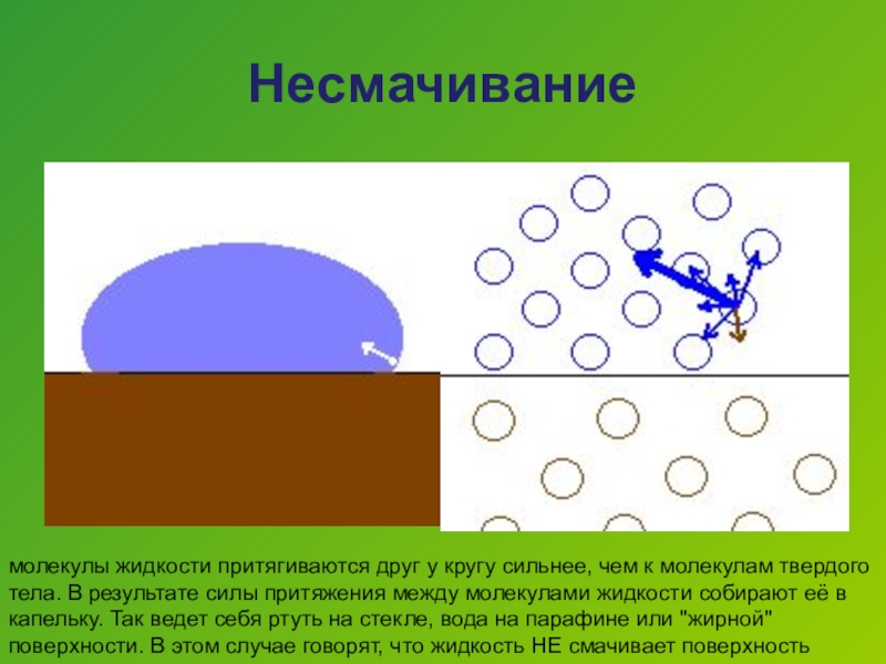 Смачивание и несмачивание физика 10 класс презентация