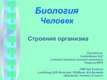 Презентация к уроку Ткани