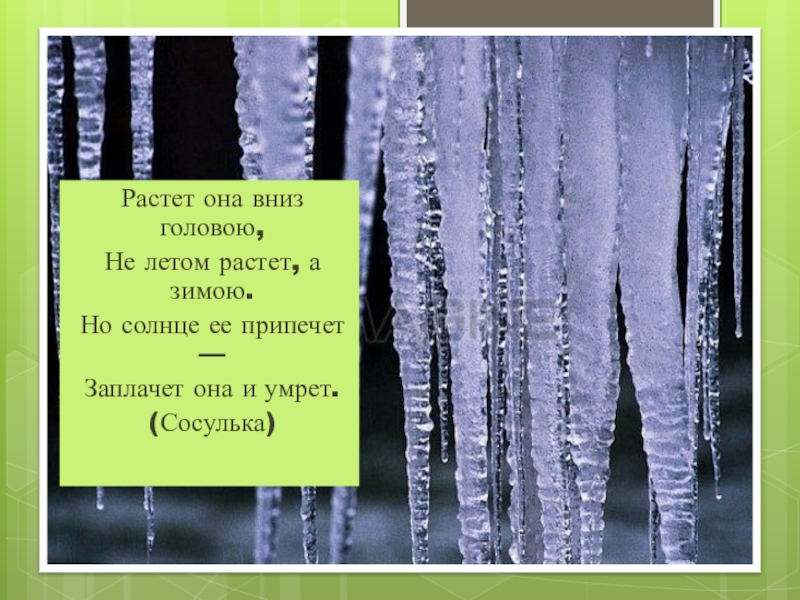 Несмотря на то что солнце припекало. Загадки про зиму.