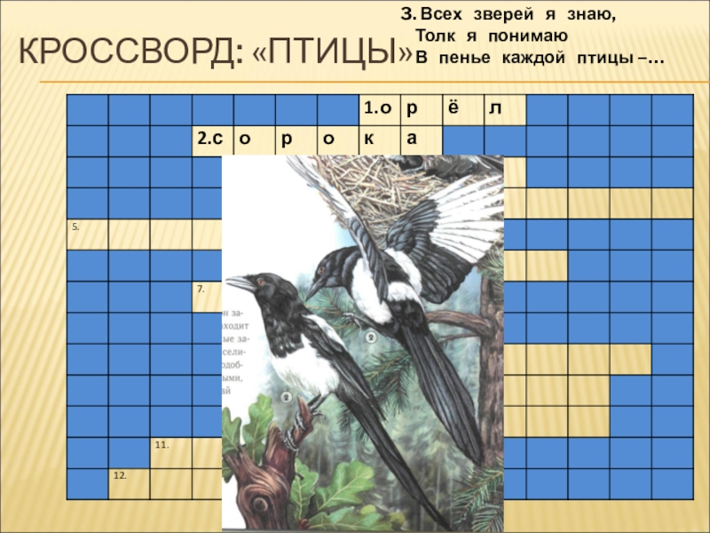 Кроссворд птицы. Кроссворд про птиц. Сканворд про птиц. Кроссворд про животных и птиц. Кроссворд про птиц для садика.