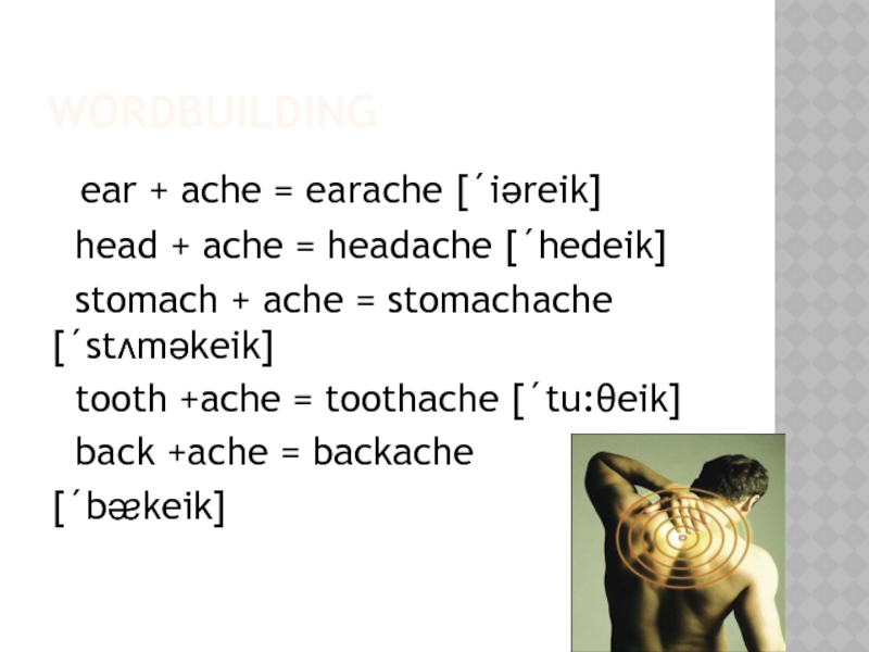WORDBUILDING ear + ache = earache [´iəreik] head + ache = headache [´hedeik] stomach + ache =