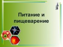 Презентация по биологии на тему Питание и пищеварение (8 класс)