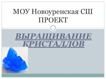 Выращивание кристаллов в домашних условиях(1 класс)