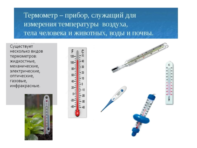 Термометр окружающий мир 2 класс презентация