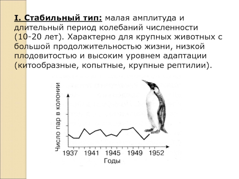 I. Стабильный тип: малая амплитуда и длительный период колебаний численности (10-20 лет). Характерно для крупных животных с