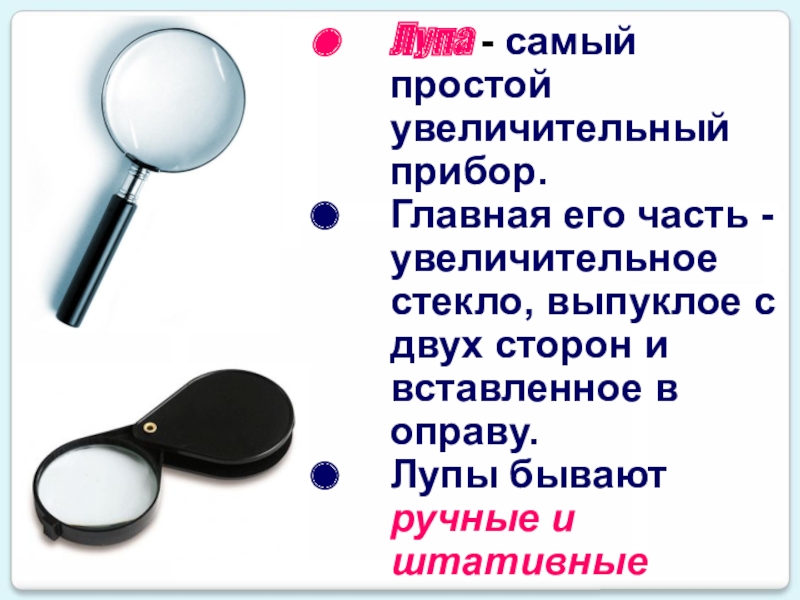 Устройство увеличительных приборов 5 класс биология презентация