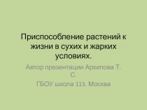 Презентация Приспособление растений к жизни в сухом климате