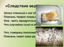 Презентация по биологии на тему: Грибы паразиты