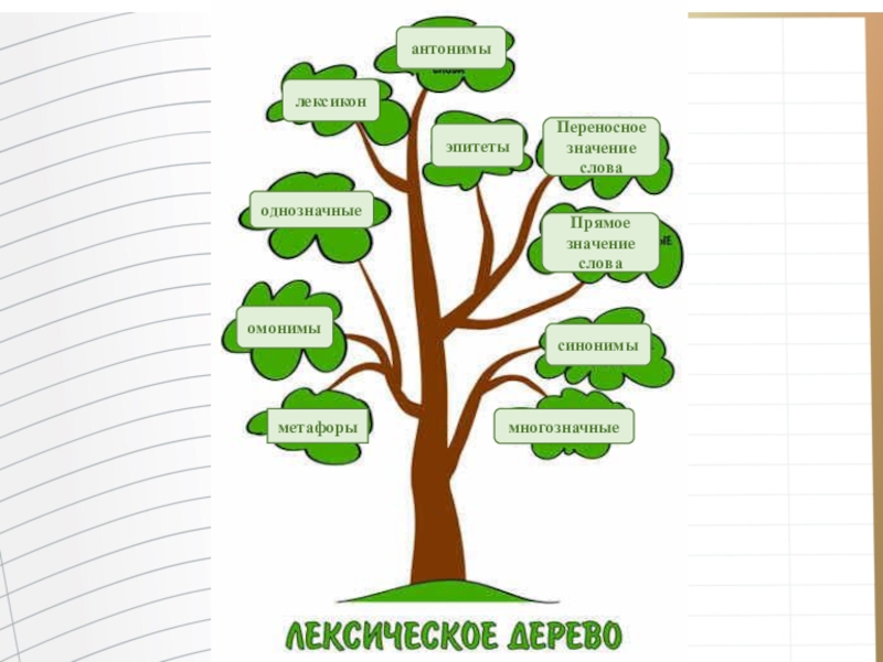 Однокоренное дерево. Дере однокореныых слов. Дерево с однокоренными словами. Проект по русскому языку семья слов. Дерива с однокар иными славами.