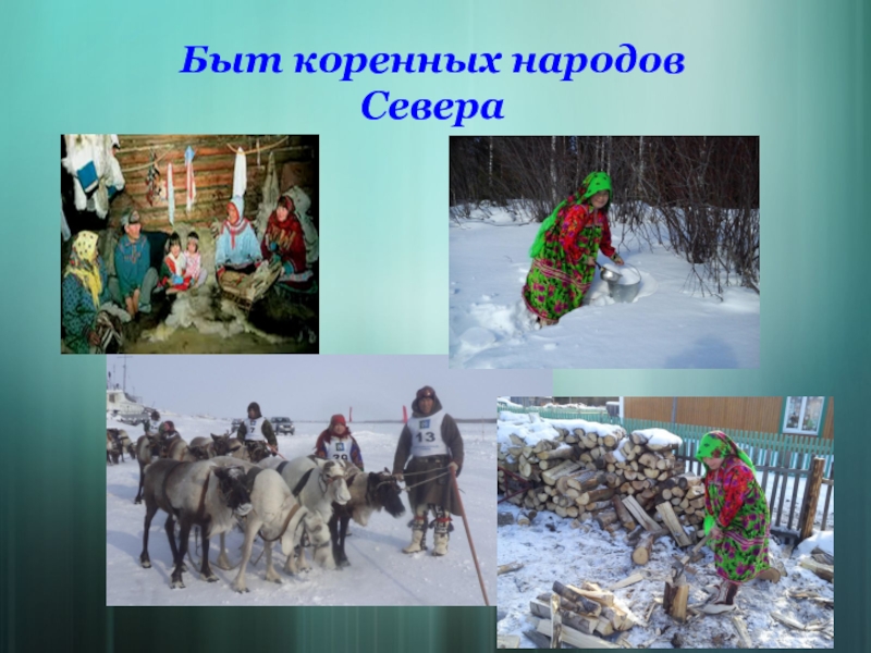 Проект народы крайнего севера