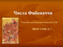 Презентация по математике Числа Фибоначчи