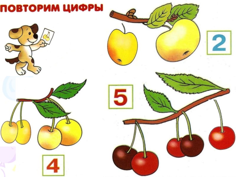 Повторение цифр 1 2 3 4. Повторение цифр для дошкольников. Повторяем цифры. Повторение цифр от 1 до 5. Повторяем цифры от 1 до 5.