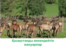 Презентация.Тақырыбы: Қазақстанды мекендейтін жануарлар