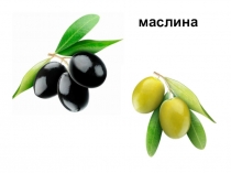 Презентация по обучению грамоте на тему Упражнения в чтении и письме. Чтение и наблюдение над смыслом слов в предложении. Написание слогов и слов с заглавными буквами Л, М. (1 класс)