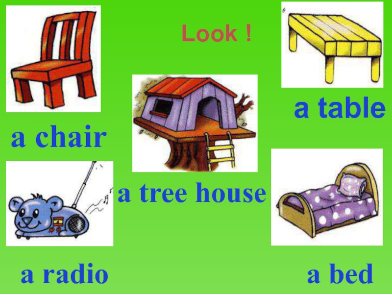 Look !a chair a bed  a radio a tablea tree house