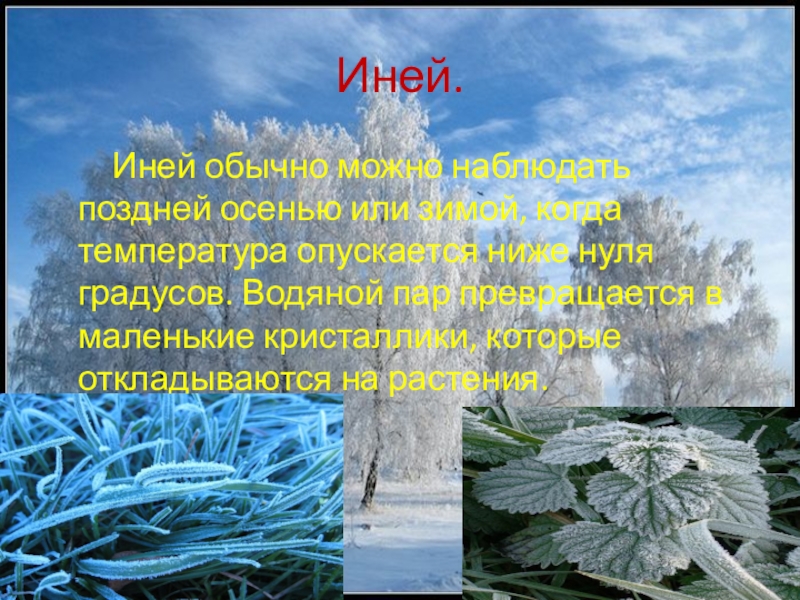 Рассказ иней. Иней для презентации. Иней синоним. Иней это для детей. Что такое иней объяснение для детей.