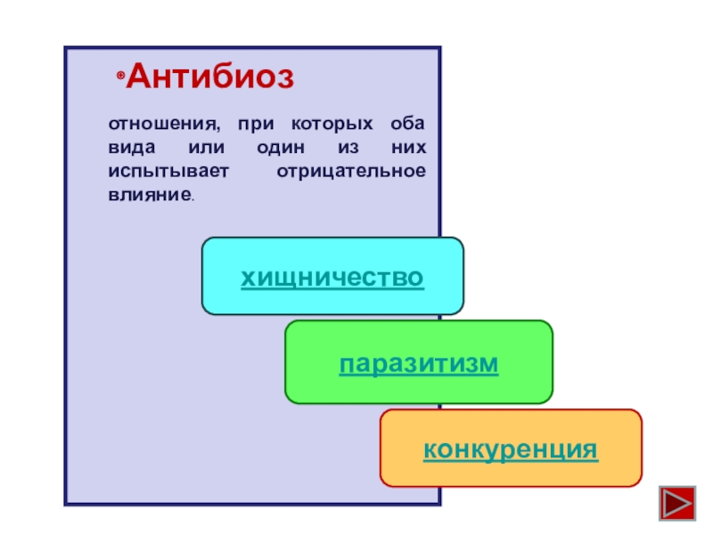 Презентация по биологии антибиоз