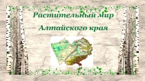 Презентация по окружающему миру на тему Растительный мир Алтайского края