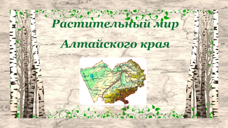 Презентация Презентация по окружающему миру на тему Растительный мир Алтайского края