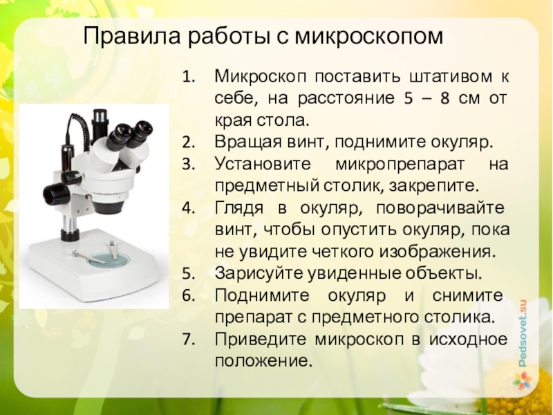 Работа с микроскопом. Правила работы с микроскопом. Порядок работы с микроскопом. Правила работы с микроскопом биология. Праилоработы с микроскопом.