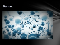 Презентация по химии и биологии на тему Белки