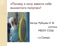 Презентация к научной работе Почему я хочу завести себе волнистого попугайчика