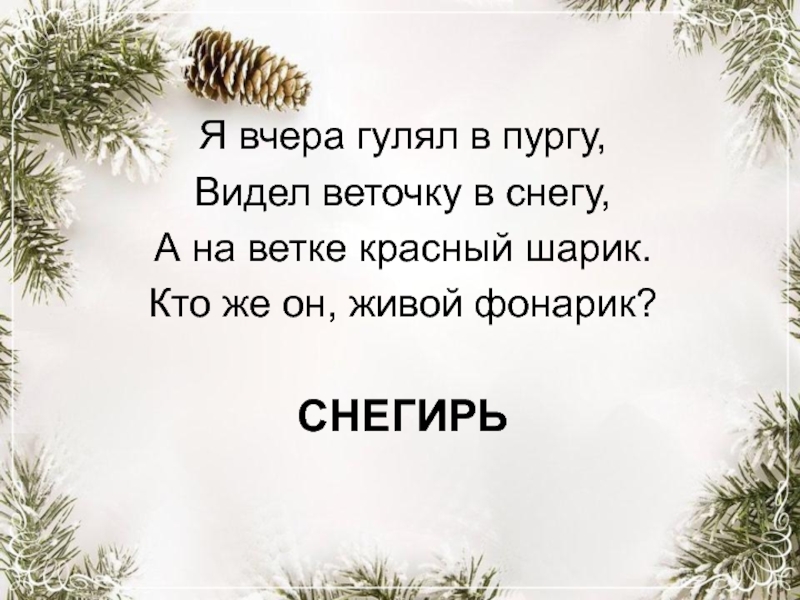 Загадки погуляем. Загадка я вчера гулял в пургу видел веточку в снегу.