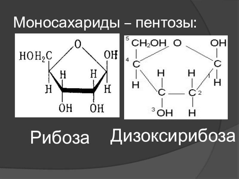 Рибоза структурная. Брутто формула рибозы. Рибоза циклическая формула. Рибоза строение. Рибоза химическая структура.
