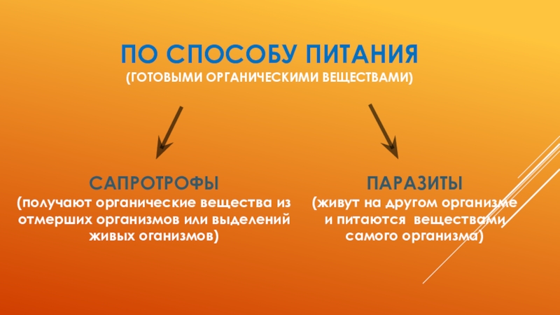 Тип питания готовыми органическими веществами