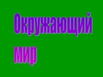 Презентация по окружающему миру
