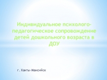Презентация Индивидуальное сопровождение детей ОВЗ