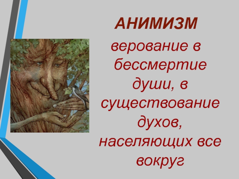 Верование в духов. Анимизм презентация. Анимизм. Анимизм у германцев. Духи населяющий мир.