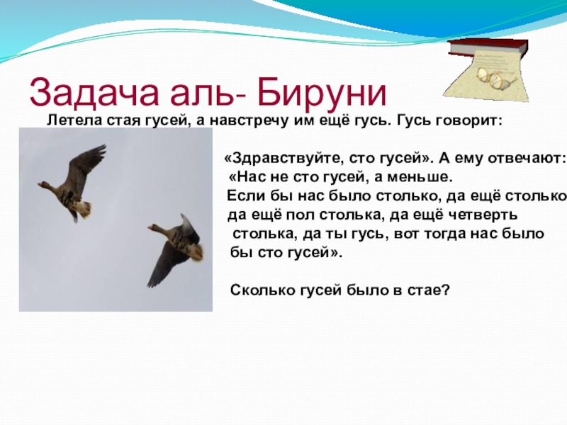 Задача летела стая гусей один гусь впереди а два позади. Стая гусей летит. Дикие гуси перелетные птицы россии. Летела стая гусей а навстречу им. Задача про гусей летела стая.