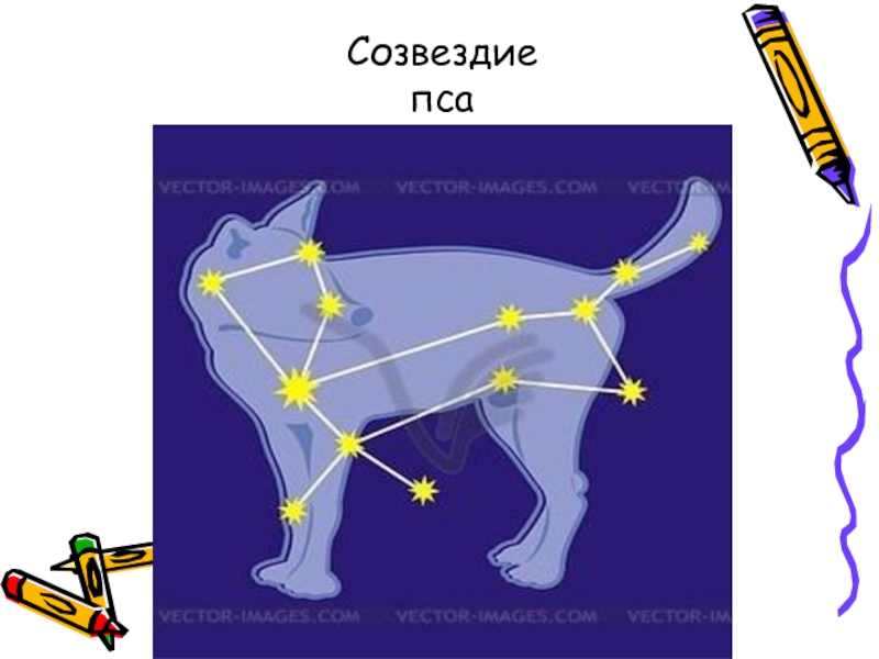 Пес звезда. Созвездие собаки. Созвездие пса. Созвездие большой пес схема. Созвездие большой пес для детей.