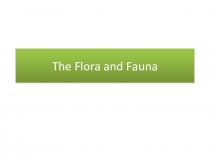Презентация по английскому языку на тему Flora and fauna