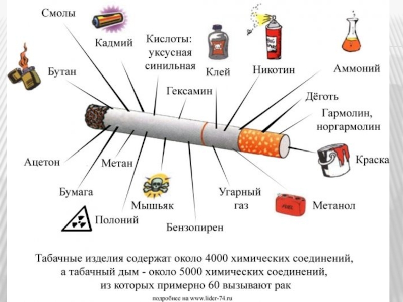 Доклад: Сексуальная потенция