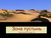 Презентация открытого урока по окружающему миру Пустыня