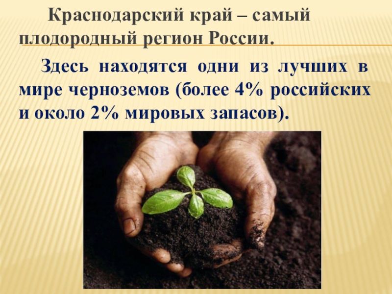 Природные ресурсы краснодарского. Самые плодородные регионы России. Самый плодородный край России. Самый плодородный край. Запасы чернозема в мире.