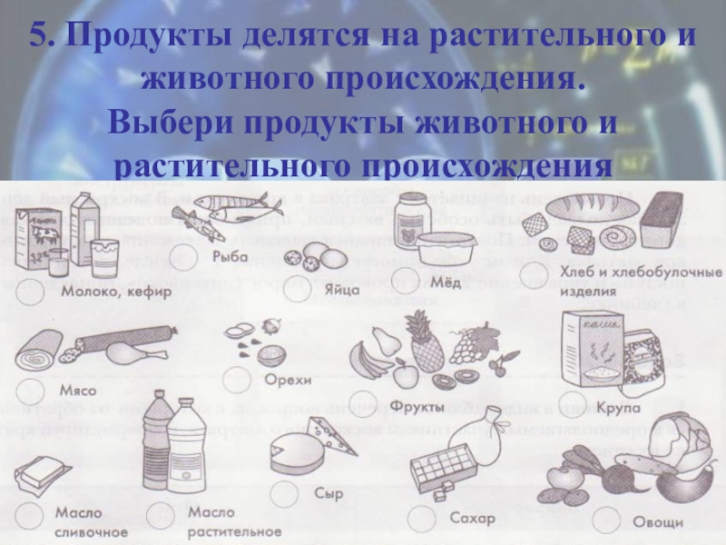 Рассмотрите рисунки какими цифрами обозначены продукты животного и растительного происхождения