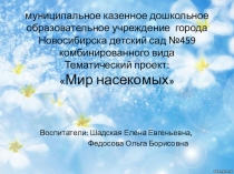 Тематический проект для дошкольников Мир насекомых