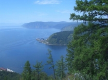 Класс Костные рыбы. Многообразие рыб, использование и охрана промысловых рыб в нашей стране