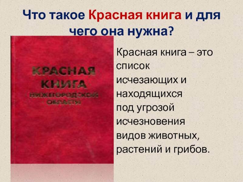 Что такое Красная книга и для чего она нужна?Красная книга – это список исчезающих и находящихся под