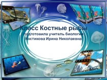 Презентация по биологии на тему Класс Костные рыбы
