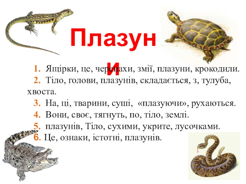 Плазуни1. Ящірки, це, черепахи, змії, плазуни, крокодили.2. Тіло, голови, плазунів, складається, з, тулуба, хвоста. 3. На, ці,