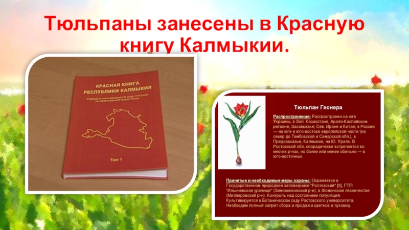 Презентация красная книга для детей подготовительной группы