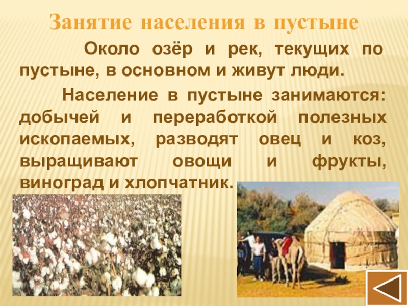 Как человек ведет хозяйство. Занятия населения. Занятия жителей в пустыне. Занятия населения пустынь. Население пустынь.